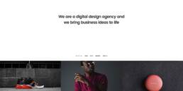 Portfolio Agency